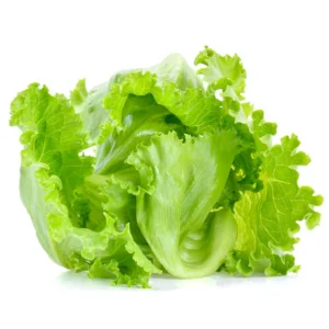 Iceberg Lettuce Seeds